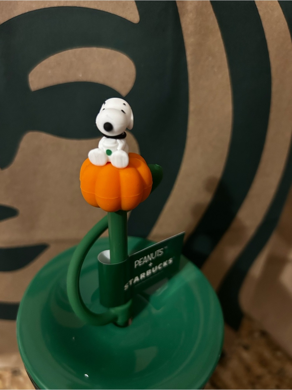 Starbucks Green Peanuts Snoopy Fall Tumbler with Straw Limited Edition - Picture 5 of 5